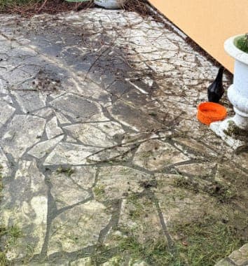 Terrasse en pierre noircie par la mousse, avant nettoyage